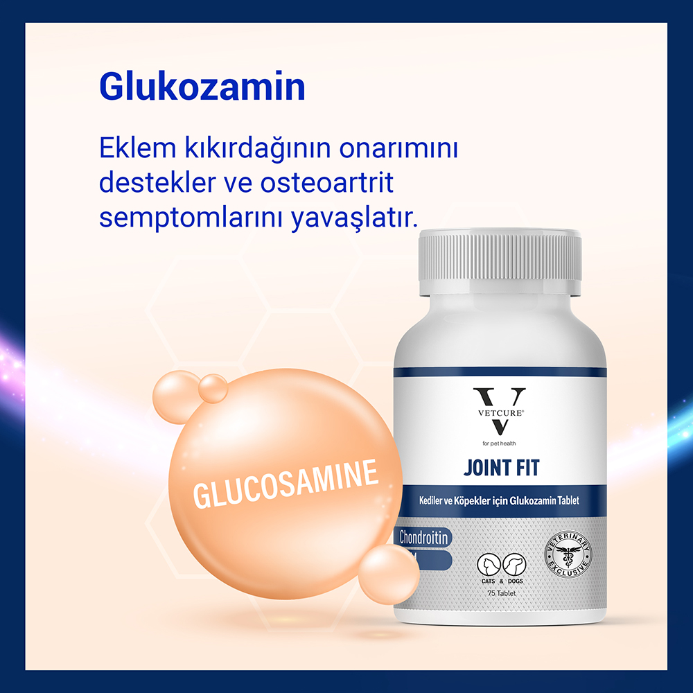 joinfit tablet glukozamin