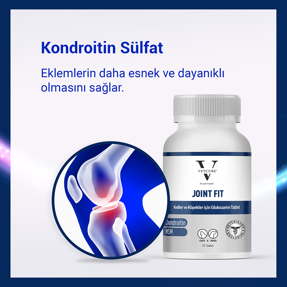 joinfit tablet kondroitin sulfat