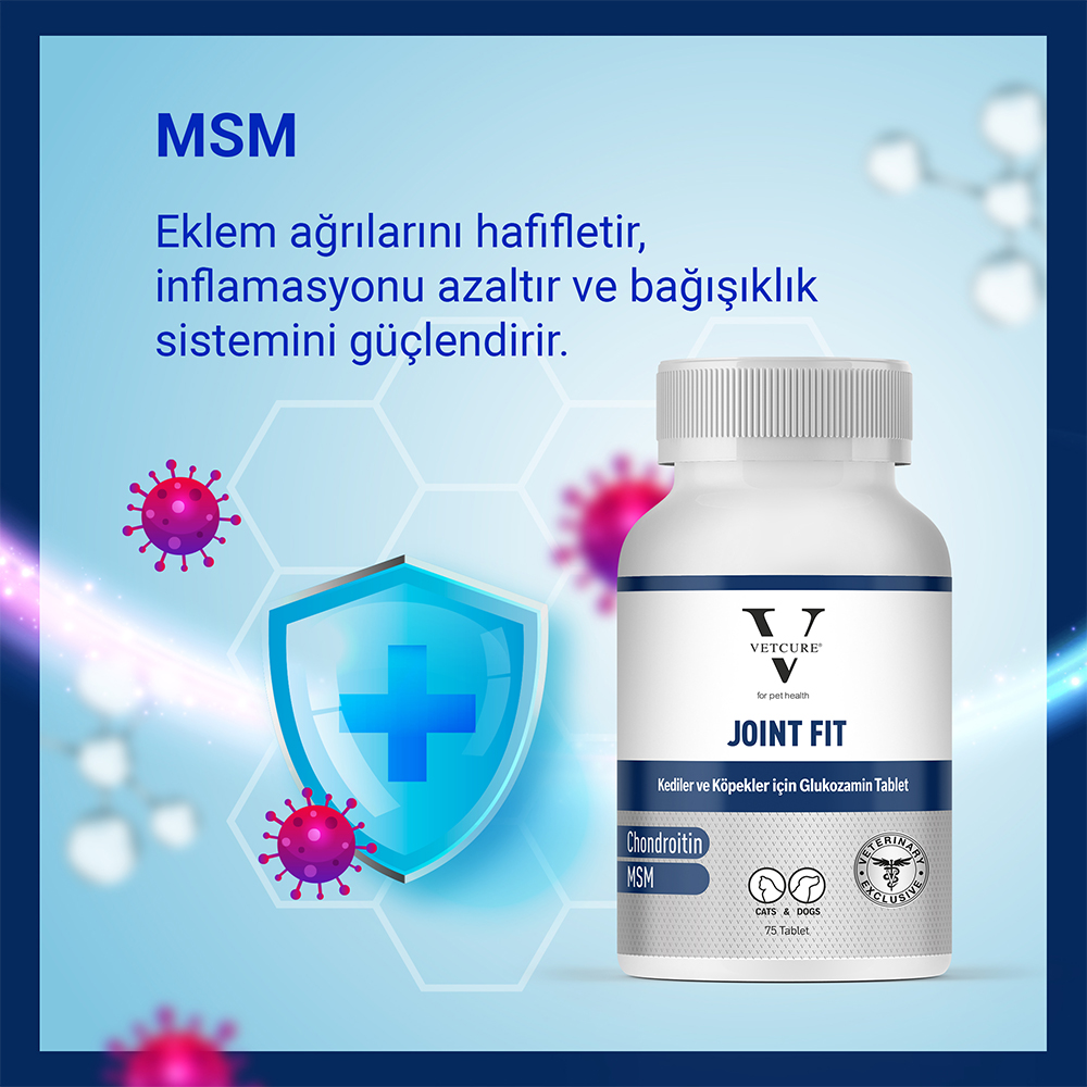 joinfit tablet msm
