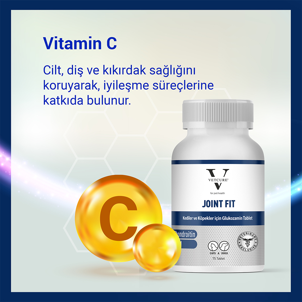 joinfit tablet vitaminc
