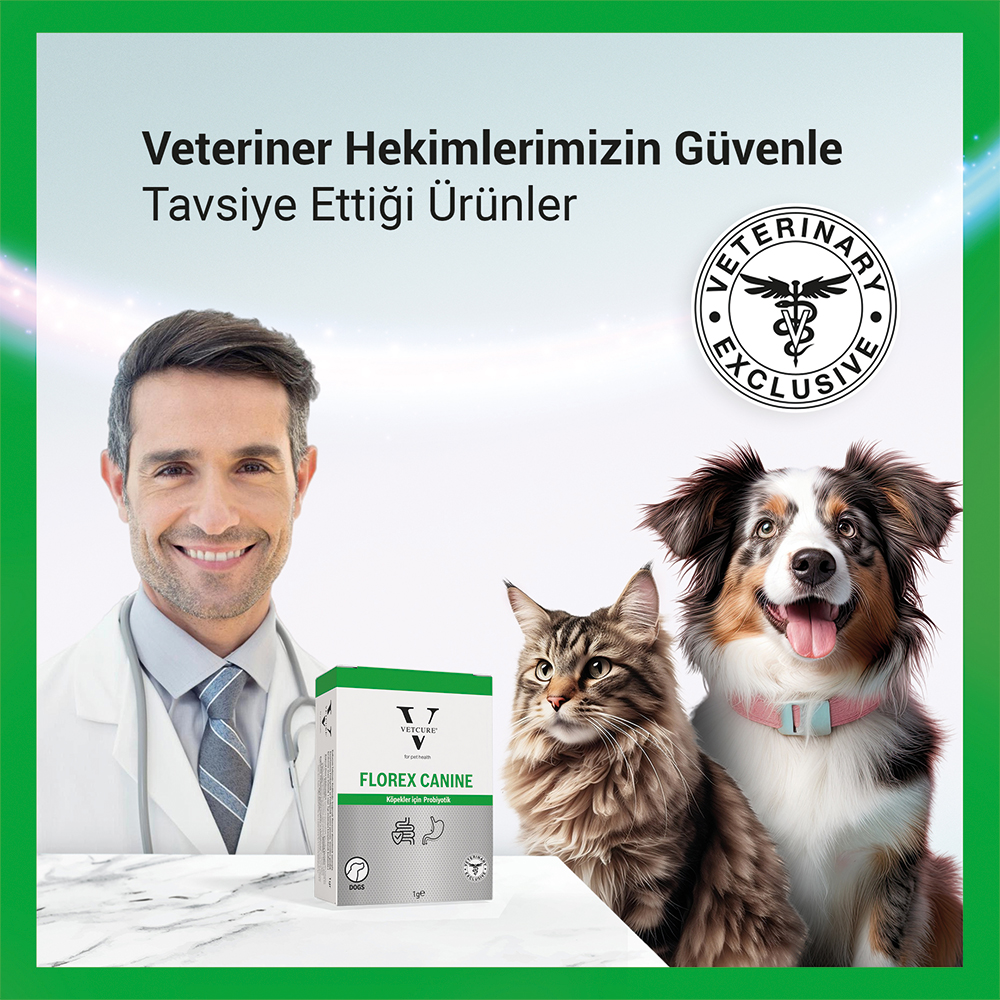 proobiyotik kopek veteriner1x1