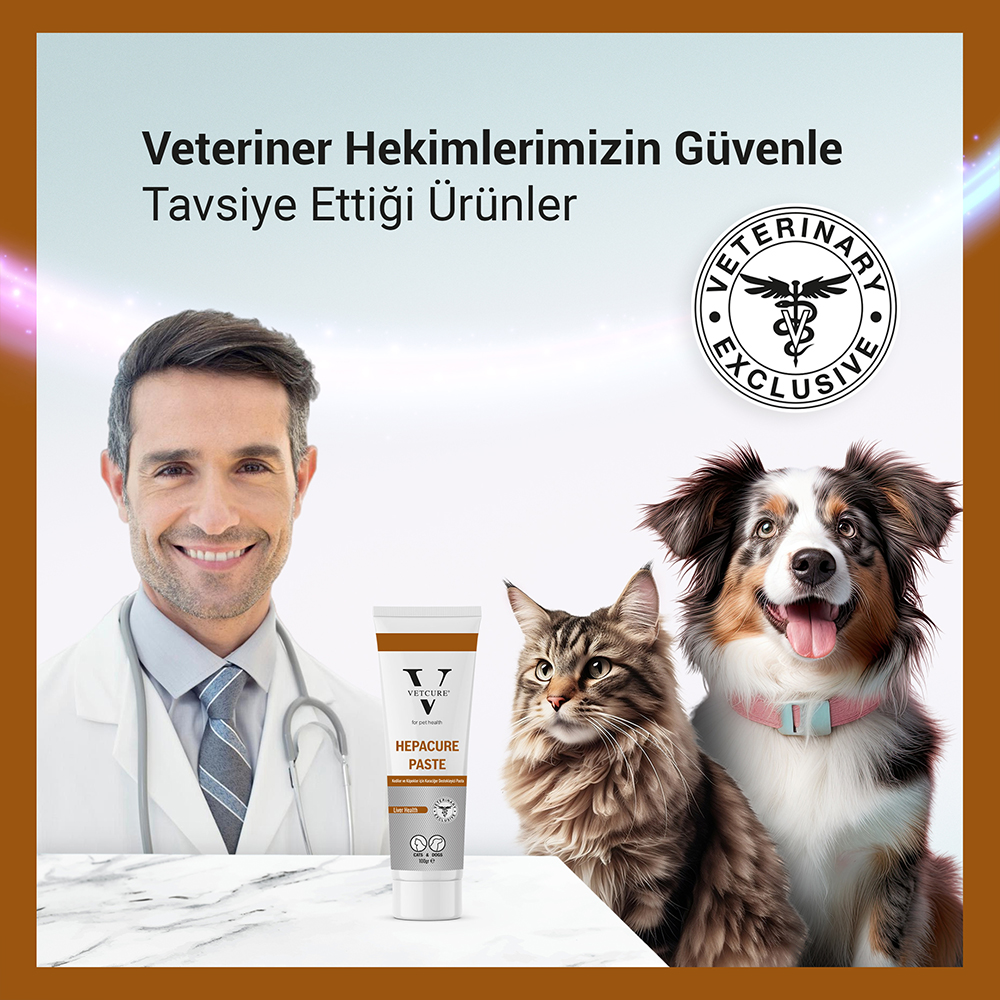 vetcure hepacure paste 100gr veteriner