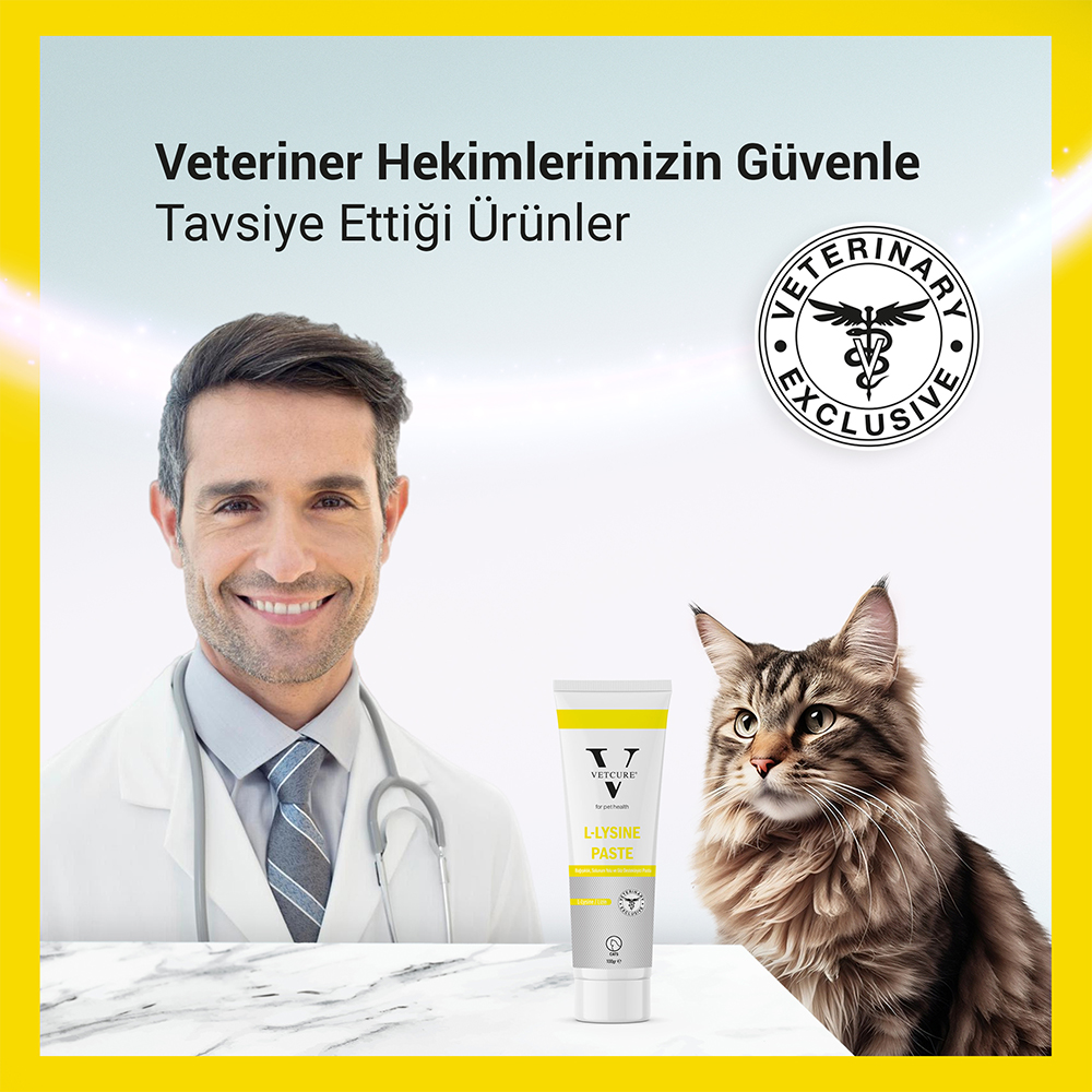 vetcure lysine paste 100gr veteriner