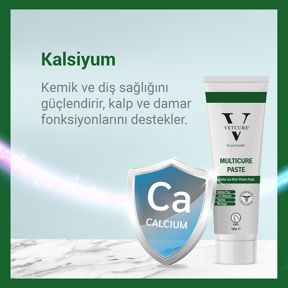 vetcure multicure paste 100gr kalsiyum